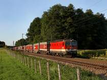 Die 1144 226 am 03.09.2011 mit einem KLV-Zug unterwegs bei Vogl. 