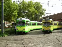 Zum Tag des offenen Denkmals sind am 12.09.2010, die historischen AVG Tw 4 und 12 vor dem Betriebshof Tullastra�e abgestellt.