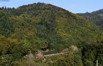 218 432-2 und 495-0 mit dem RE 10085 (Freiburg (Brsg) Hbf-Ulm Hbf) bei Falkensteig 25.9.11 