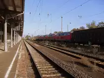 232 mit 218 358;218 213;218 354 und 218 104 plus einen GZ am 08.10.2011 durch Stendal in Richtung Magdeburg.