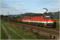 Durch das abendliche Murtal, fahren 1144 270 & 1142 554 mit diesem Eaos-G�terzug hier nahe Fentsch-St.Lorenzen. 
22_9_2011