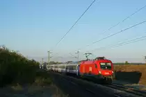 1116 115 mit dem IC 104  Sobieski  von Wien Meidling nach Warszawa Waschodnia. Hier in der sch�nen Morgensonne zwischen Deutsch-Wagram & Helmahof.
15.10.2011