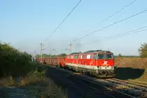 Koid is`, R�benzeit is`! Am 15.10.2011 bespannten die  Oldtimer  Tfz 2143 038 & 2143 073 die R�BE 59201 von Deutsch-Wagram nach Siebenbrunn Leopolsdorf (�ber G�nserndorf & Marchegg) zur AGRANA Zucker GmbH. Hier zwischen Deutsch-Wagram & Helmahof.
