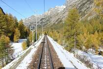 Blick aus dem letzten Wagen des Bernina Express,hier zwischen Spinas und Bever.Herrlich die Farben der L�rchen,typisch f�r das Engadin im Herbst.
12.10.11

