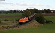 Locon 208 und 207 mit dem DBV 80793 (Titisee-Villingen (Schwarzw) bei Unadingen 9.10.11
