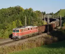 1042 020 mit dem G�terzug 54072 von Graz Vbf. kommend wurde von mir am sp�ten Nachmittag des 17.10.2011 auf der Steinbauerwiese bidlich festgehalten.