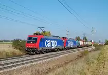 482 045 und ein weitere 482 sind am 22.10.2011 mit einem
Containerzug bei Marchtrenk zu sehen gewesen.