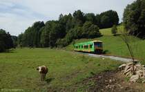 VT 21 + VT 15 der Waldbahn am 14.08.2011 bei K�pplm�hl an der Ilztalbahn