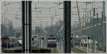 - Nahezu unfotografierbar III - Um sich die Zeit zu vertreiben, hat (fast) jeder Fotograf ein Bild der SNCF Abstellgruppe westlich der Haltestelle Krimmeri-Meinau in Strasbourg gemacht. 29.10.2011 (Hans)