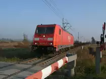 Am Bahn�bergang Mukran West entstand die Aufnahme von 185 295 als Diese,am 05.November 2011,Mukran nach Seddin verlie�.
