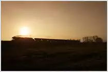 The morning sun: 41 1144-9 am 28.10.2011 mit dem beim Plandampf im Werratal intern als DGz 203 bezeichneten G�terzug von Bad Salzungen nach Eisenach, aufgenommen in Unterrohn.

