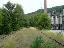 3.8.11 in Unterloquitz, Blick nach Osten: S�dlich des modernisierten Haltepunkts holt sich die Natur die einst umfangreichen Gleisfl�chen zur�ck. Bei Drehscheibe online findet man ein beeindruckendes altes Bild von den VEB  Th�ringer Schiefergruben  mit der Heizlok 58 3014!