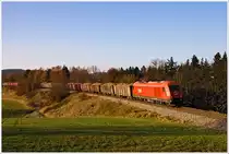 2016.076 mit RÜBE59035 am 11.11.2011 kurz vor Pram-Haag.