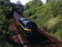 202.020 (TSP, ex-CFL 1602) mit Sonderzug Aalborg-Randers bei Randers (D�nemark) am 15-5-1999. Bild und scan: Date Jan de Vries.