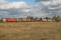 185 036-1 mit gemischtem G�terzug in Richtung Darmstadt bei Hergershausen. 26.10.11