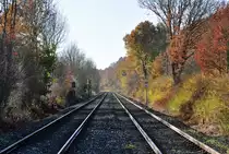 Gleise im Eifel-Herbstwald zwischen Satzvey und Mechernich - 09.11.2011
Aufnahmestandort B� Katzvey - siehe auch Geodaten