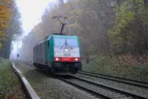 E 186 210 ( Cobra 2818 ) aus Belgien am 24.11.11 bei �bach - Palenberg im Fr�hnebel unterwegs nach Aachen