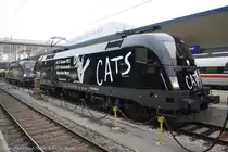 Am 23.11.2011 wurde die Bahnhof City Wien West eingeweiht mit 90 gesch�ften dazu gab es auch gestern einen beitrag der �BB sprich eine Fahrzeugschau.Sprich mit 1116 126 Licht ins Dunkle und 1116 153 Cat&acute;s sowie einen Railjet an anhand der 1116 242 samt dazugeh�riger Ganitur.