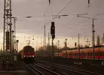 155 013 kam mit einem Kesselzug am 20.11.2011 durch Stendal in Richtung Magdeburg.