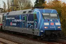 Nochmal im Portrait:Die 101 042  Ecophanten  zog am 2.11.11 den IC 2217 durch D�seldorf-Angermund.