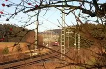 Beim Warten auf eine Sonderleistung entstand dieses Herbstbild am 23.11.2011 nahe Feilitzsch. Als der 612er Ri Sachsen vorbei fuhr, sah ich dass das Ge�st vor mir etwas Licht bekommt. Ein Schritt n�her ran und grob anvisiert, so entstand dieser Nachschuss. Mir gef�llt er! So sieht man auch mal, dass die Oberleitung von der Landesgrenze bis zum ESig Hof schon quasi fertig ist. Der Teleblick verr�t auch, dass die Masten nicht alle lotgerecht stehen...