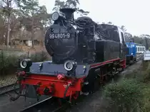 99 4801 und 199 008 am 26.November 2011 in G�hren.W�hrend die Diesellok auf das Ladegleis f�hrt,f�hrt die Dampflok wieder an ihren Zug nach Putbus.