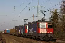 SBB Cargo 421 371+421 388 am 20.11.11 bei der Durchfahrt durch Ratingen-Lintorf.
Gru� an den Tf!!