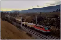 Einer der seltenen G�terz�ge auf der S�dbahn-Stammstrecke Wiener Neustadt - Wien Meidling. 1142 621-0 bei Guntramsdorf-S�dbahn, 9.12.2011. Obwohl es erst ca. 13.30 Uhr war, mutet die Lichtstimmung durch Hochnebel schon fast abendlich an...