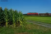 232 592-6 mit einem Umleiterg�terzug Richtung Hof bei Oberteich, 20.08.2011