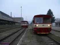 Nebenbahntreffen von CD-810 541 + CD-810 325 in Velke Opatovice.
    
2011-11-17 Velke Opatovice