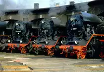 44 1093-2, 44 1486-8 und 44 1593-1 qualmen vor dem Sta�furter Lokschuppen im Juni 1992