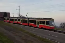 Be 4/6 62 und Be 4/6 63 befinden sich am 26.11.11 oberhalb von Neuhaus.