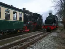 Der Weihnachtsmannsonderzug wartete,am 10.Dezember 2011,in der Kreuzungsstelle Posewald,auf dem planm��igen P 102 aus G�hren der von 99 4801 gezogen wurde.