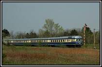 Ein f�nfteiliger Dieseltriebwagen der Reihe 5145 am 23.4.2006 bei der Einfahrt in das Heizhausgel�nde Strasshof. Er fuhr als Sonderzug von Wien zur Saisoner�ffnung.