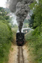 Die 399.01 aus Alt Weitra kommend in Fahrtrichtung Weitra gerade nach dem �berqueren der B41. (19.06.2011)
