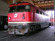 2050 005-4 im Rundlokschuppen �GEG-Gel�nde Ampflwang 2006-04-30