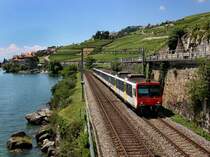 Ein NPZ am 28.06.2009 unterwegs bei St. Saphorin.  