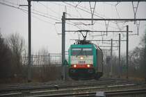 Die Cobra 2808 f�hrt mit einem Papierzug aus Aachen-West und f�hrt durch Montzen-Gare Richtung Vise bei Nieselregen am 31.12.2011.

