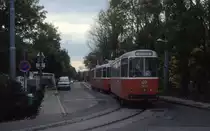 Wien Wiener Linien SL 60 (c5 1451 (Bombardier-Rotax. vorm. Lohnerwerke, 1980)) XXIII, Liesing, Rodaun, Beethovenstraße am 20. Oktober 2010.