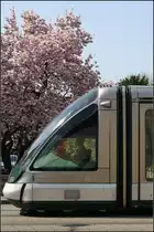 Viel Glas - 

Die Fahrerkabine der Eurotram von Straßburg ist ein eigenständiges Modul. 

21.04.2006 (M)