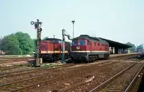 132 321 + 112 406  G�sten  10.05.91