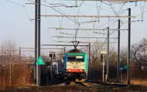 Die Cobra 2822 kommt mit einem Containerzug aus Aachen-West in Richtung Vise und f�hrt durch Montzen-Gare(B) bei sch�nem Sonnenschein am 15.1.2012.
