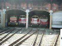 Parade der Go�dieselloks im SEM. V60 1120, V180 141, 118 782 und 219 003