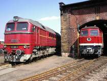 Beide russ. Gro�dieselloks des SEM nebeneinander am Lokschuppen 