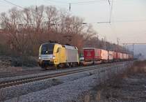 182 595 (ES 64 U2-095) wird von den ersten Sonnenstrahlen beschienen, als sie mit dem  TXL Fischzug  am Morgen des 18.01.2012 �ber die KBS 613 gen S�den fuhr. Aufgenommen am B� Eltmannshausen/Oberhone.
