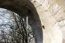 Eiszapfen an der Bahnunterf�hrung kurz vor dem Bahnhof Neustadt a.d. Aisch.