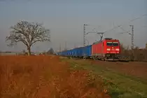 185 382-9 zieht einen beladenen Kohle-Ganzzug gebildet aus nagelneuen PKP E-Wagen bei Bickenbach(Bergstra�e) Richtung S�den. 21.11.11