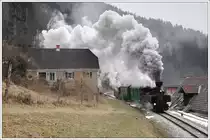 U8 im Zuge einer Sonderfahrt f�r eine englische Reisegruppe auf der Feistritztalbahn am 6.2.2012 zwischen Rosegg und Koglhof.