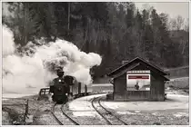 U8 im Zuge einer Sonderfahrt f�r eine englische Reisegruppe auf der Feistritztalbahn  am 6.2.2012 in Rosegg. Die h�ssliche Reklametafel habe ich durch eine FTB Reklametafel ersetzt.