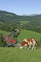 1016.039+1144.037 mit EC-531 st�ren die Kuh nicht wirklich. Eichberg 3.9.11